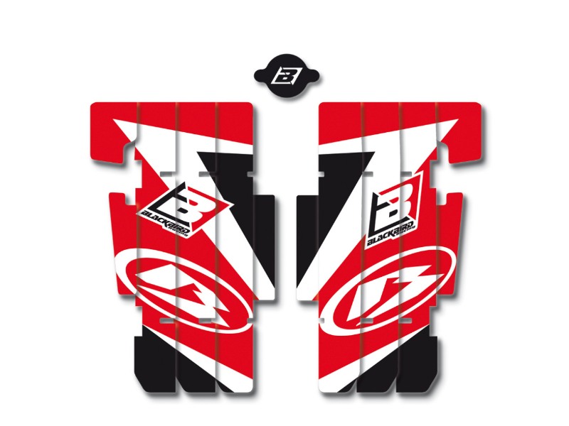 Stickers radiator Beta Enduro Femon