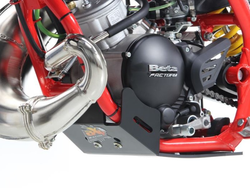 Engine protection Beta 50 Supermoto 4