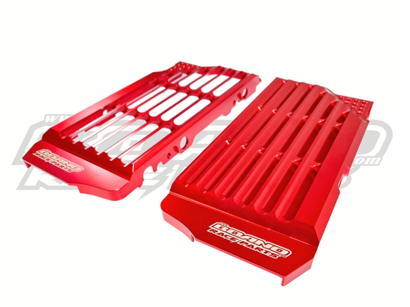 Radiator protector Beta RX Femon 1