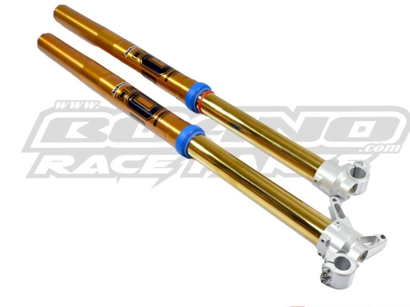 Ohlins fork Beta Enduro Femon 2