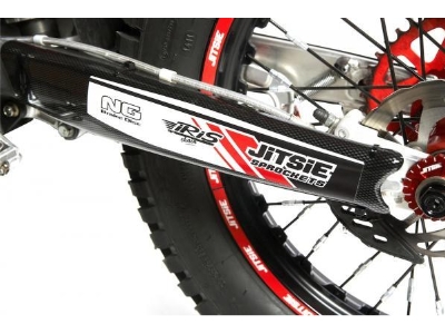 swingarm protection Beta Evo 2T 09-15