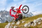 Femon Parts Beta Enduro 2T 1
