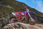 Femon Beta Enduro Racing 4S Femon Beta Enduro Racing 4S