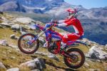Femon Beta Enduro Racing 2S 125 B