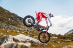 Beta EVO Trial 2T Femon Parts B