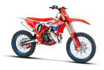 Femon Beta RX 250 Cross 2