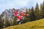 Femon Parts Beta Enduro 4T 1