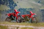Beta XTRAINER 2027 Femonparts 4