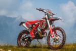 Femon Beta XTrainer 2026 B