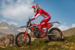 Femon Beta XTrainer 2026 D