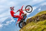 Femon Parts Beta Enduro 2T 4